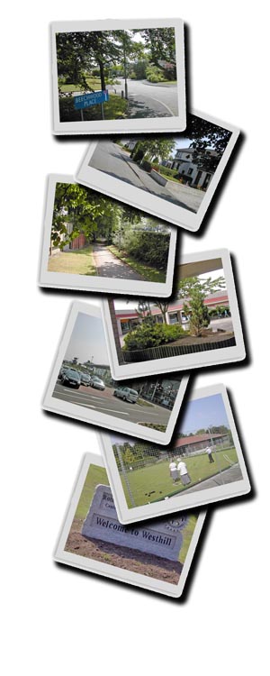 collage