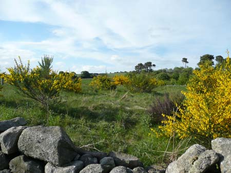 Kirkton_001