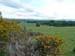 Kirkton_010