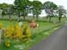 Kirkton_021