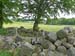 Kirkton_025