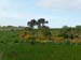 Kirkton_030